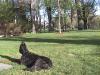  Ralf on statehouse lawn.
