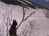  The snow slide near Monarch Pass, CO.
