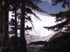  Sun, snow, trees, and water near Monarch Pass, CO.
